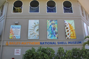 The Bailey-Matthews National Shell Museum Photo